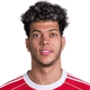 E.ashour