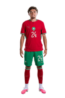 El Aynaoui
