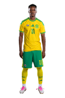 Zwane